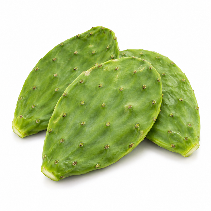 Nopal — imagen ilustrativa del producto