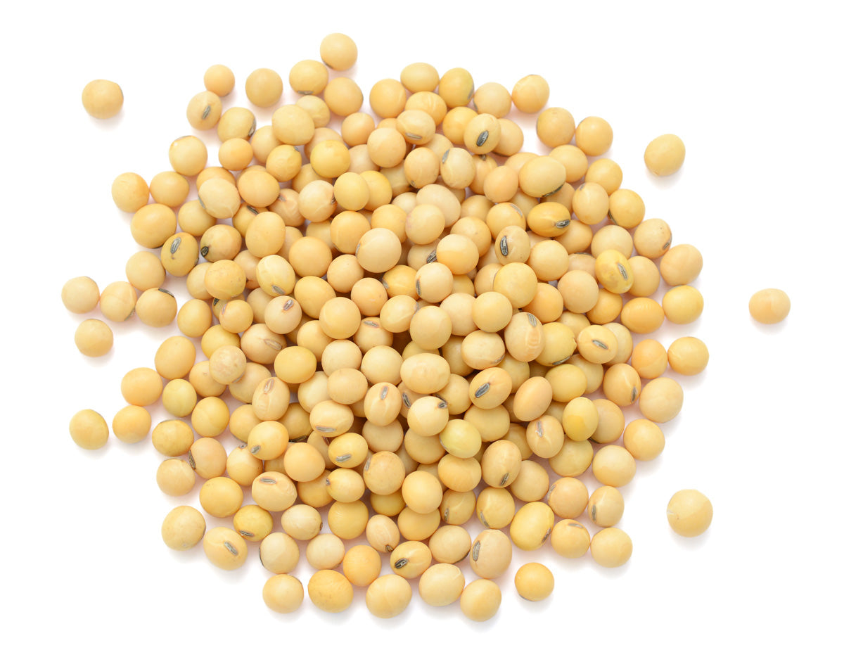 Frijol de soya