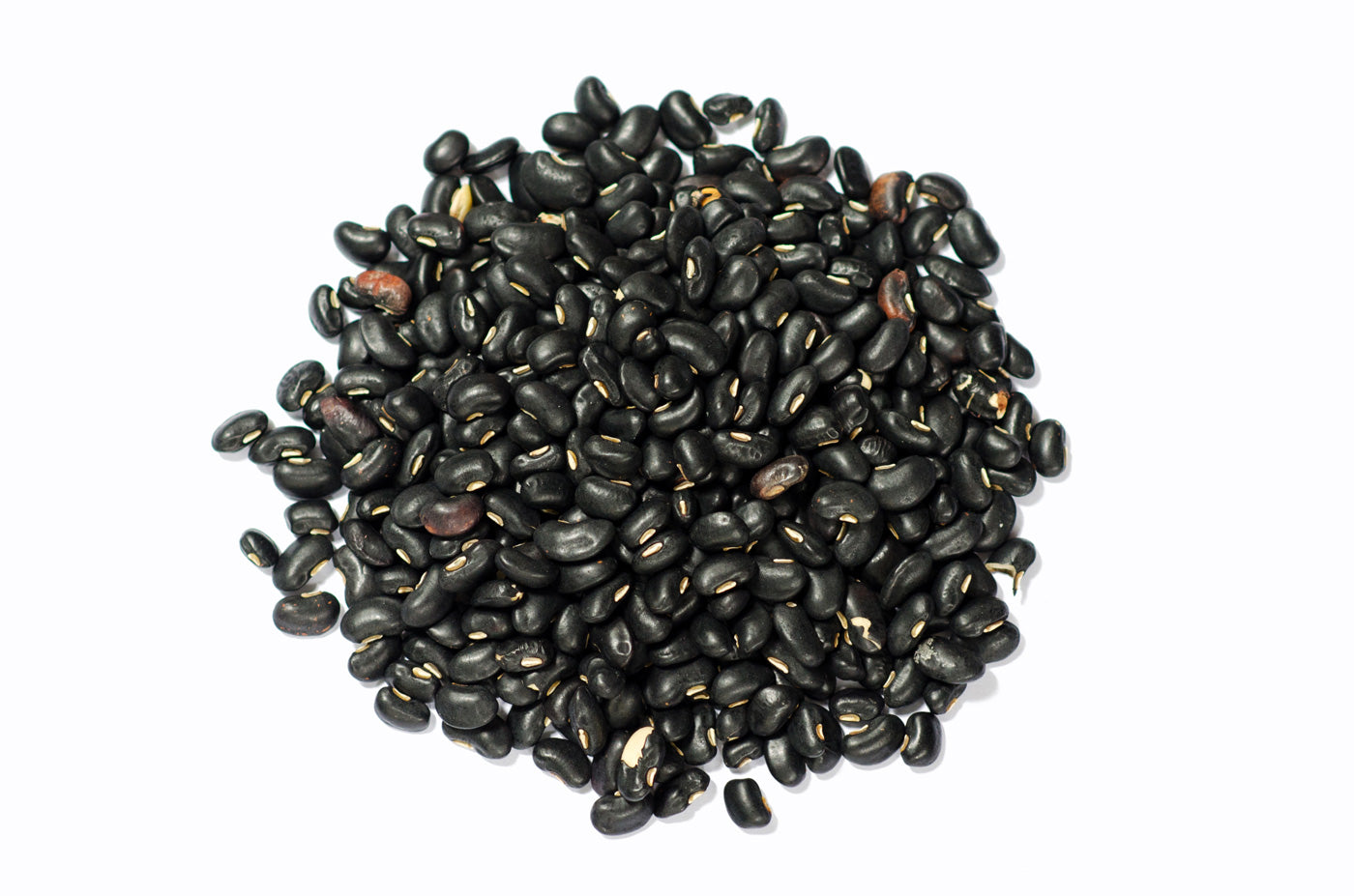 Frijol negro