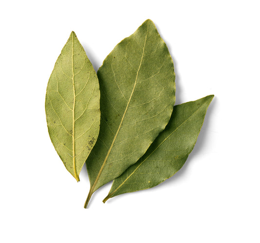 Laurel