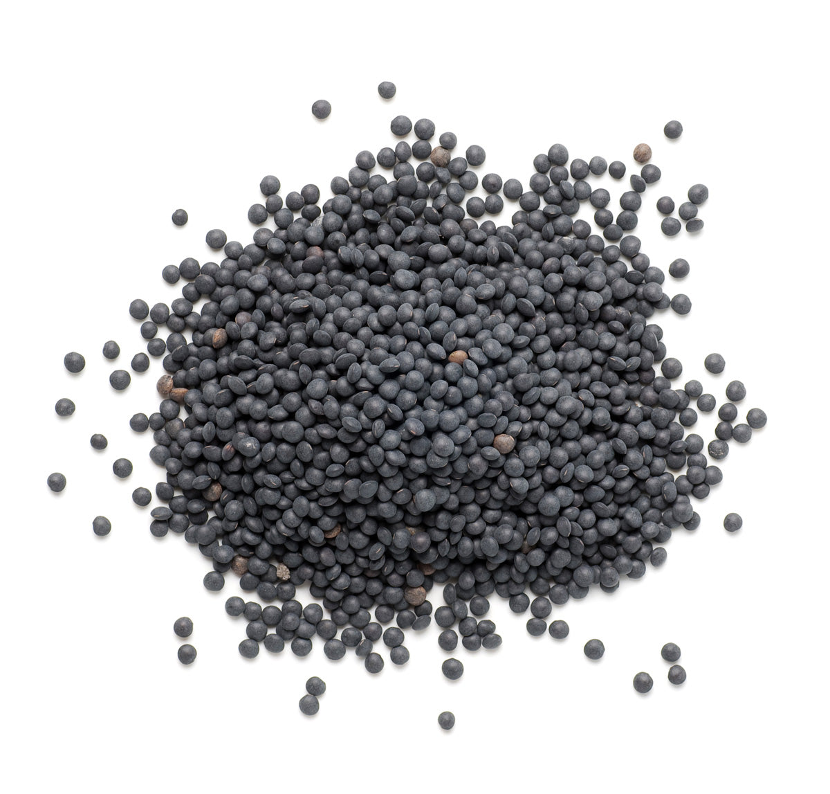 Lenteja negra