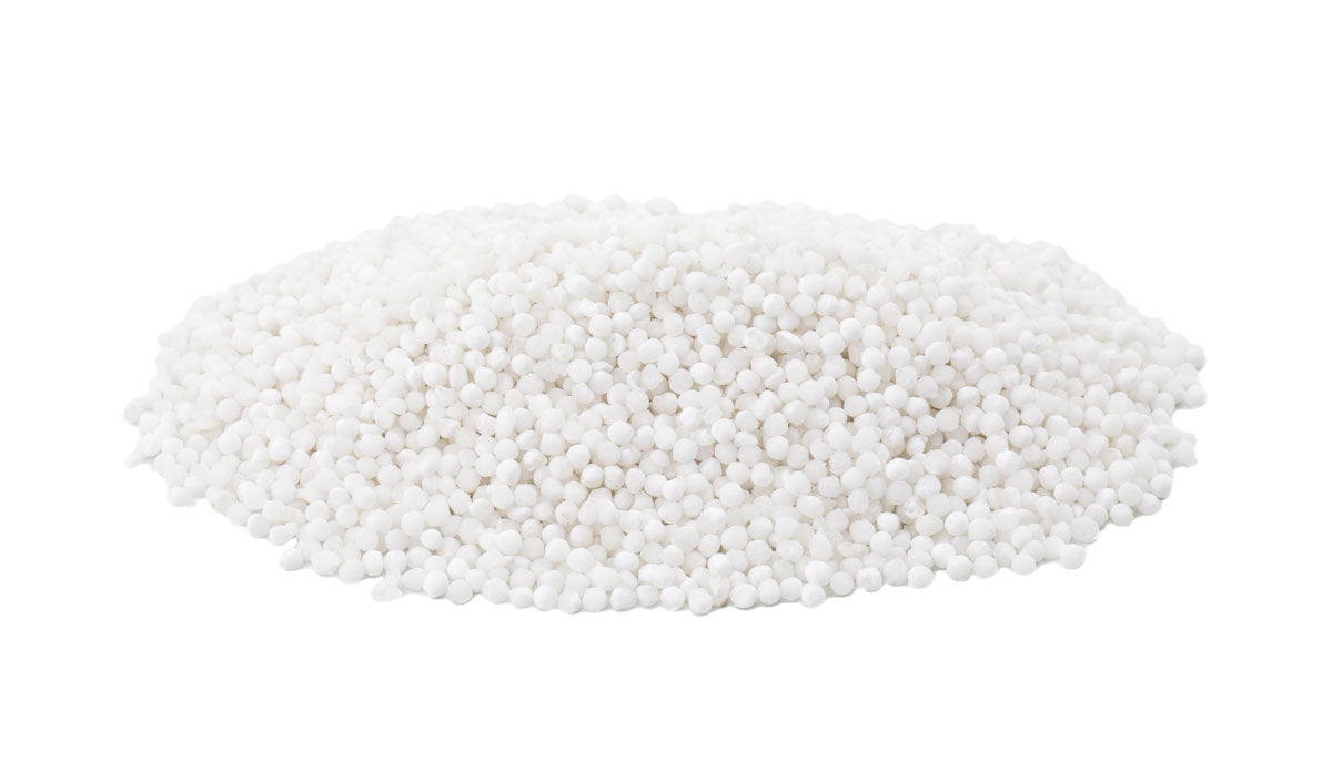 Tapioca