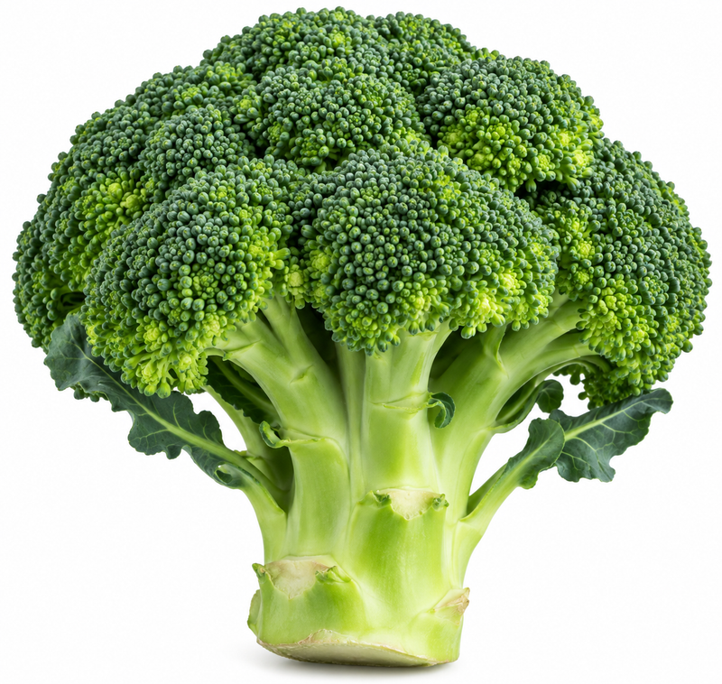 Brócoli — imagen ilustrativa del producto