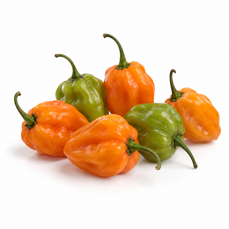 Chile habanero — imagen ilustrativa del producto