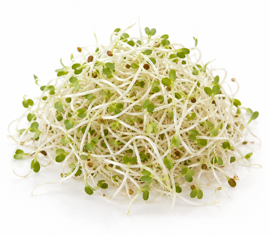 Germinado de alfalfa — imagen ilustrativa del producto