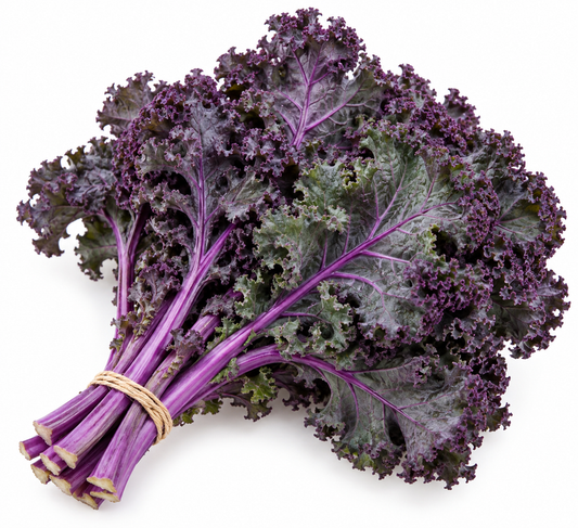 Kale rizado morado — imagen ilustrativa del producto