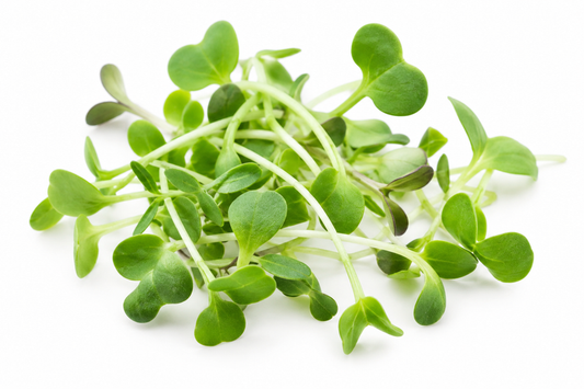 Microgreens Mild — imagen ilustrativa del producto