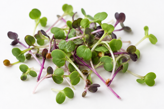 Microgreens Spicy — imagen ilustrativa del producto