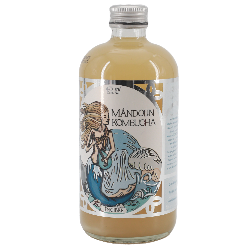 Kombucha Mandolin Jengibre